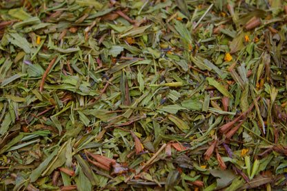 Mexican Tarragon (Tagetes lucida)