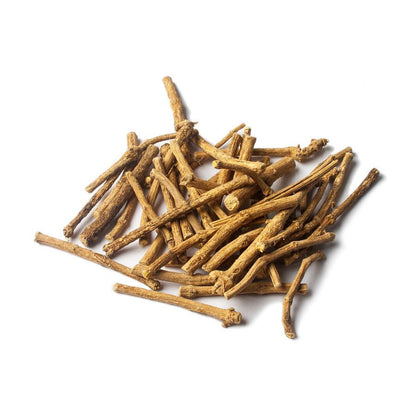 African Dream Root (Silene capensis) - Herbaldimensions.com