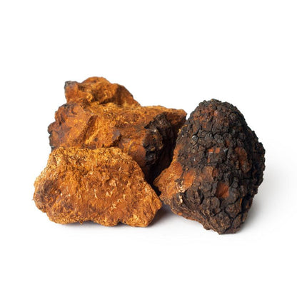 Chaga