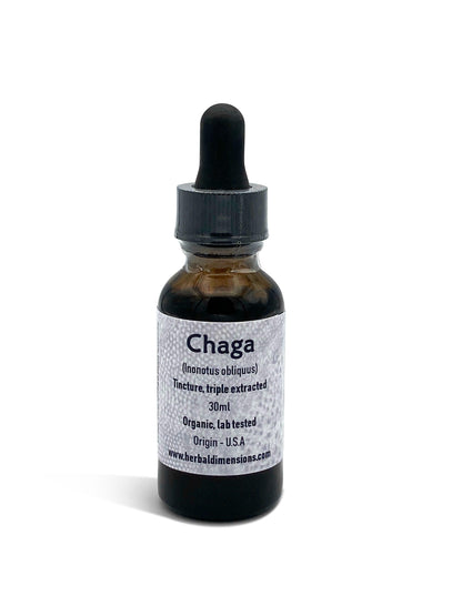 Chaga (Inonotus obliquus) - Herbaldimensions.com