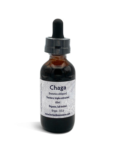 Chaga (Inonotus obliquus) - Herbaldimensions.com