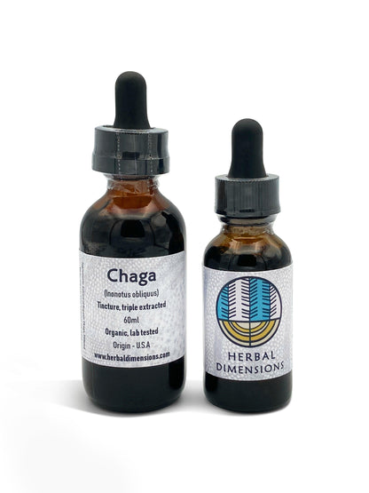 Chaga (Inonotus obliquus) - Herbaldimensions.com